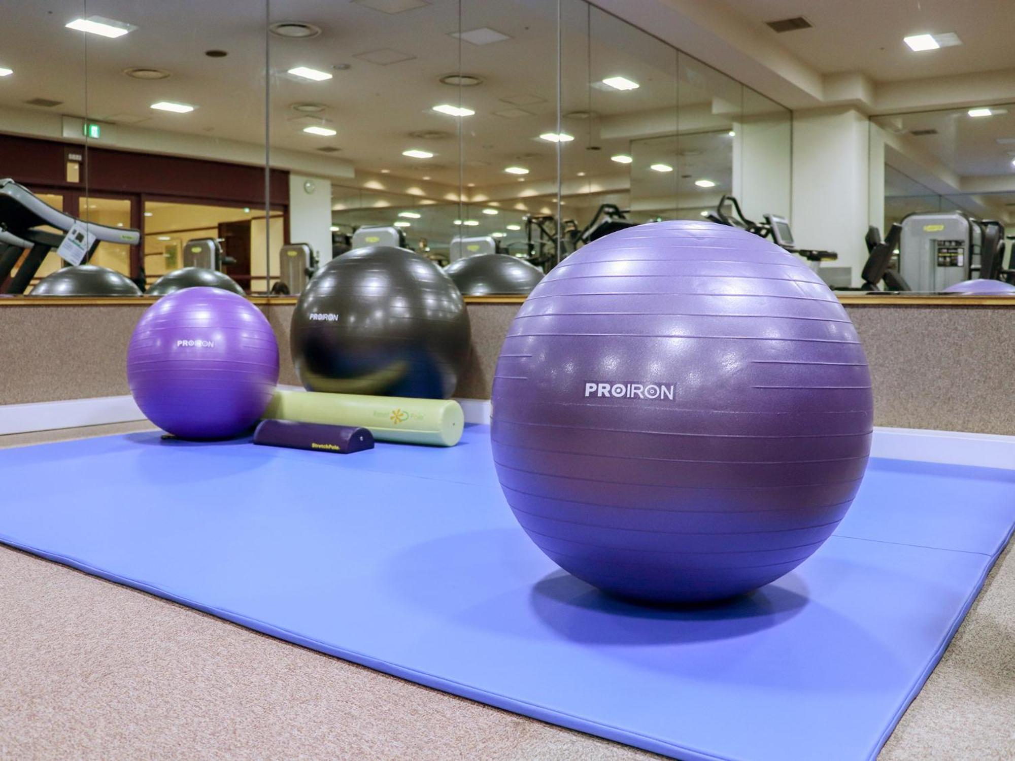 Premier Hotel -Tsubaki- Sapporo Dış mekan fotoğraf Swiss exercise ball